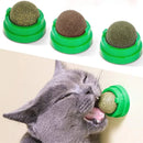 Brinquedo Interativo para Gatos com Snacks Naturais