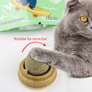 Brinquedo Interativo para Gatos com Snacks Naturais