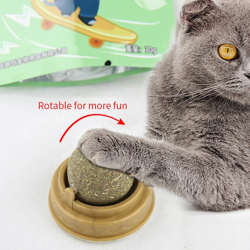 Brinquedo Interativo para Gatos com Snacks Naturais
